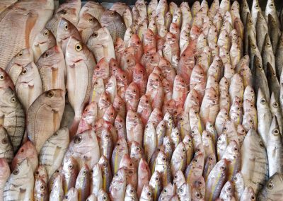 Witryna pełna świeżych ryb w restauracji